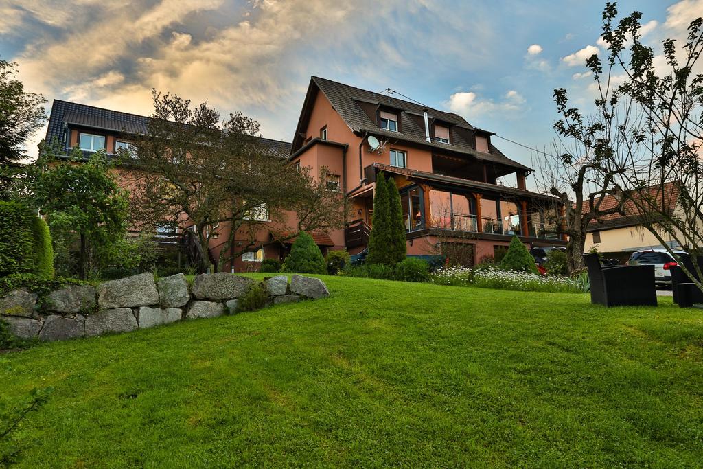 Hotel Restaurant Des Vosges Birkenwald المظهر الخارجي الصورة