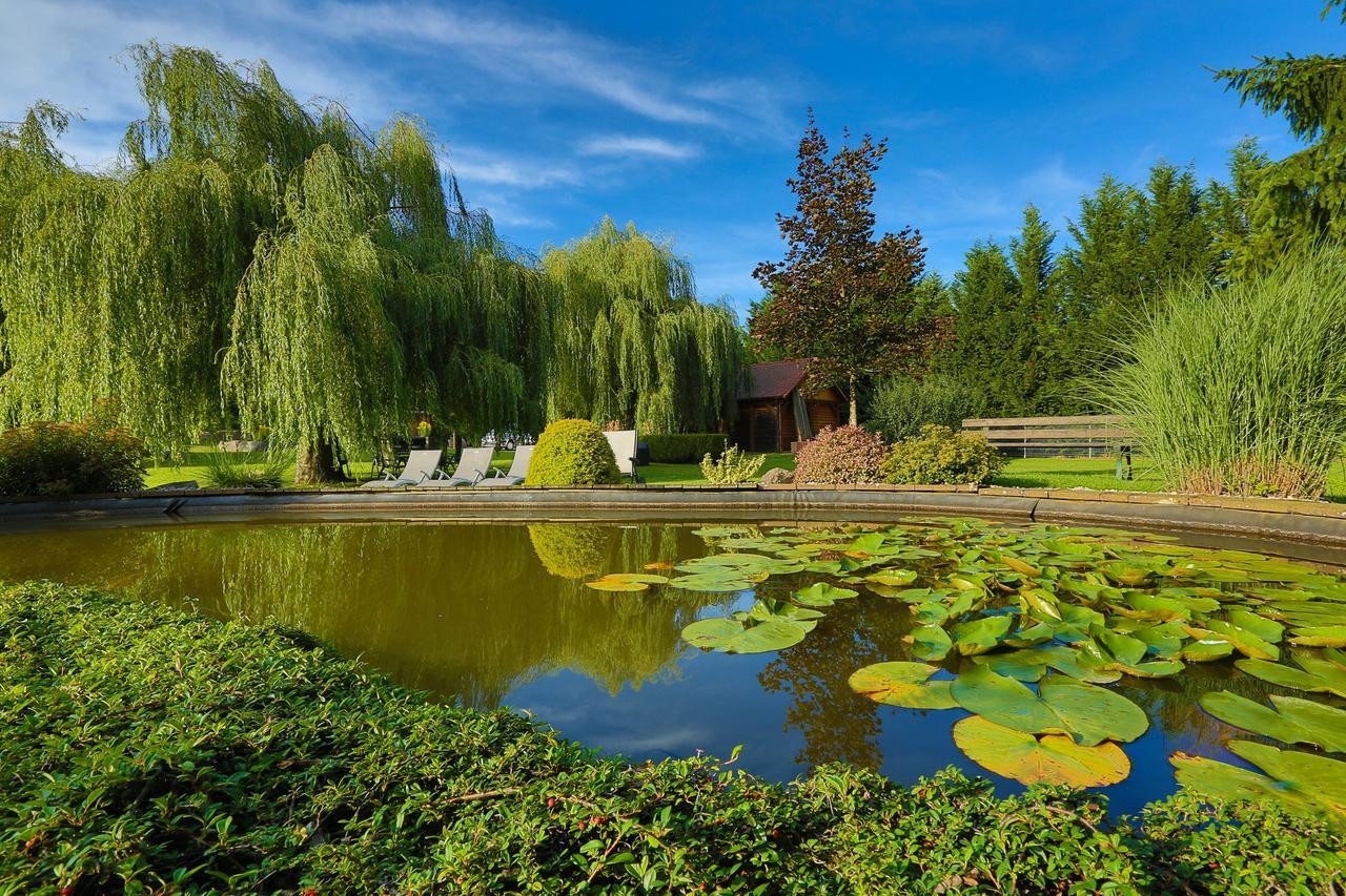 Hotel Restaurant Des Vosges Birkenwald المظهر الخارجي الصورة